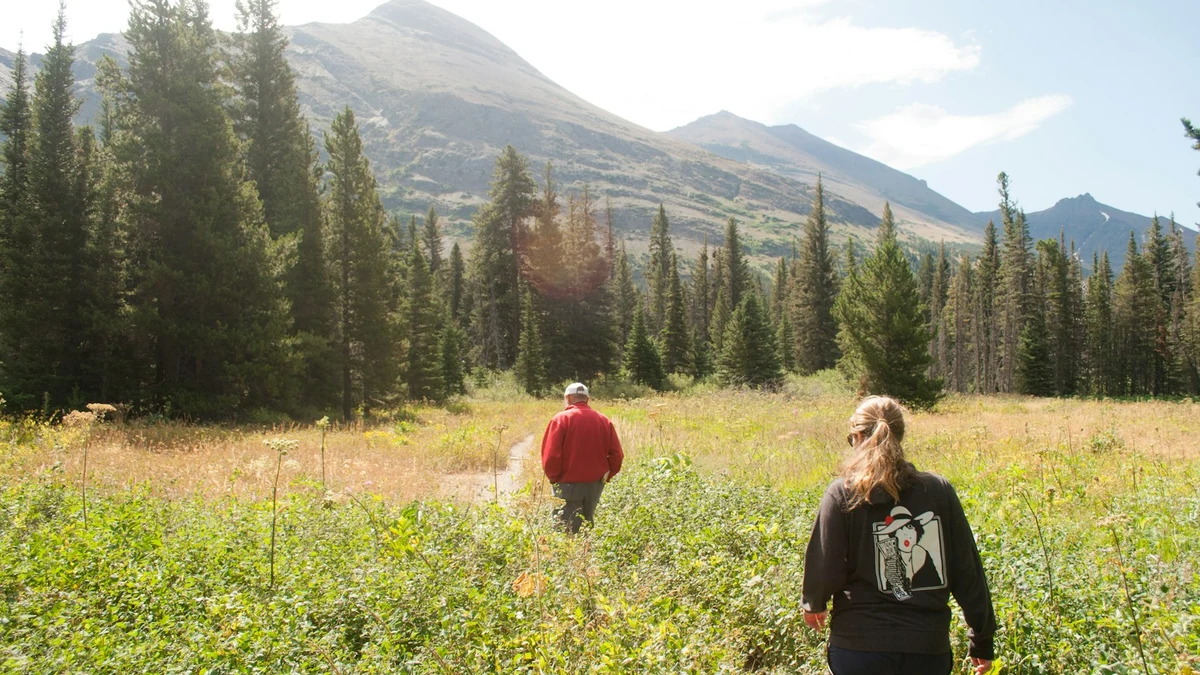 Two walkers seen from behind on a meadow path heading towards mountains