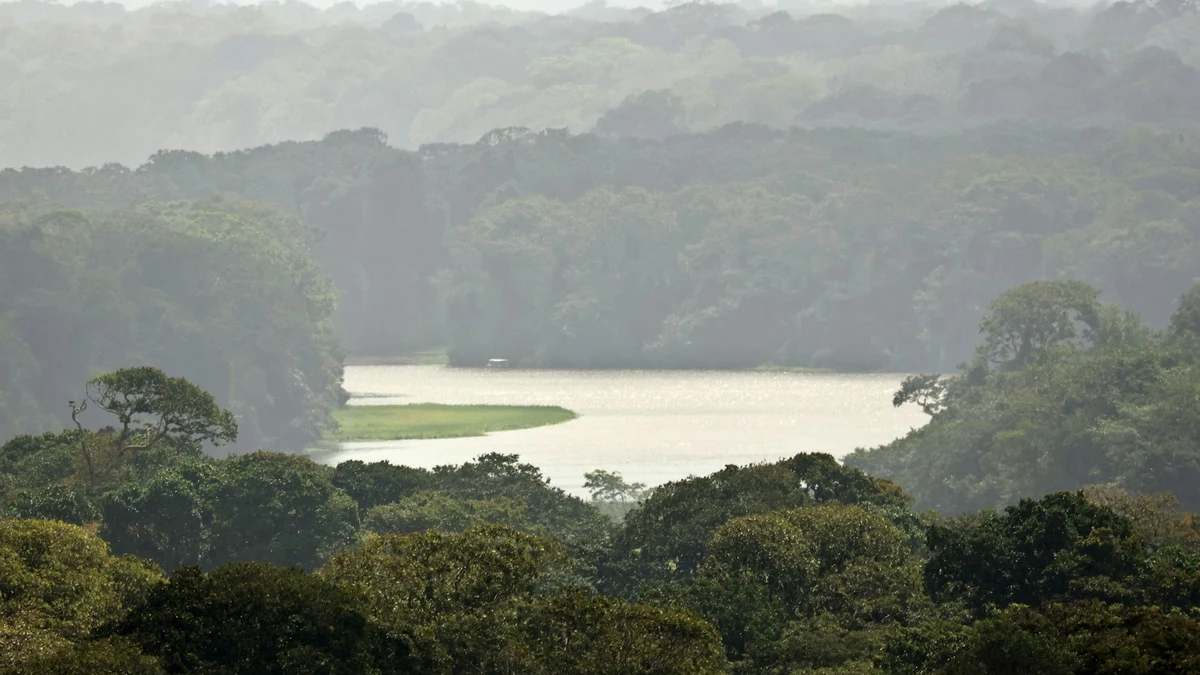 Wide lagoon among dense rainforest in soft morning haze on Costa Rica&rsquo;s Caribbean side