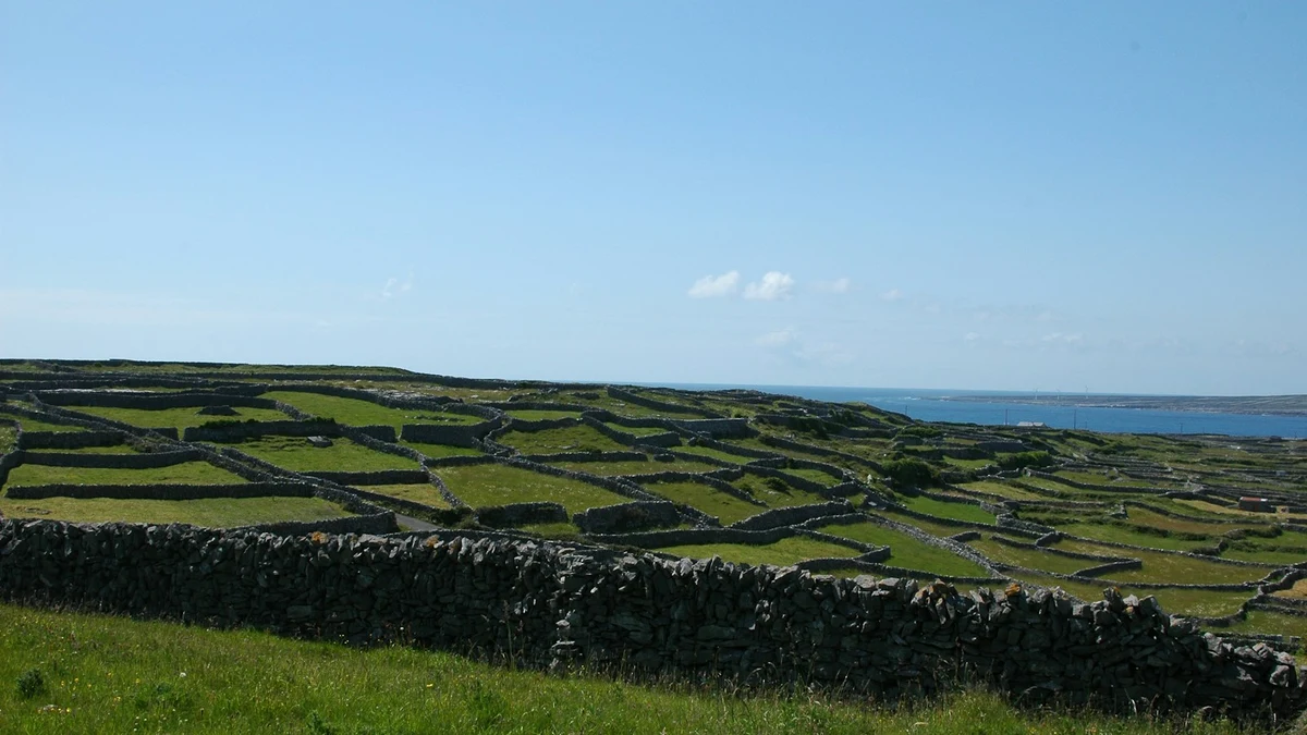 Old dry-stone walls dividing small green fields above the sea on one of the Aran Islands