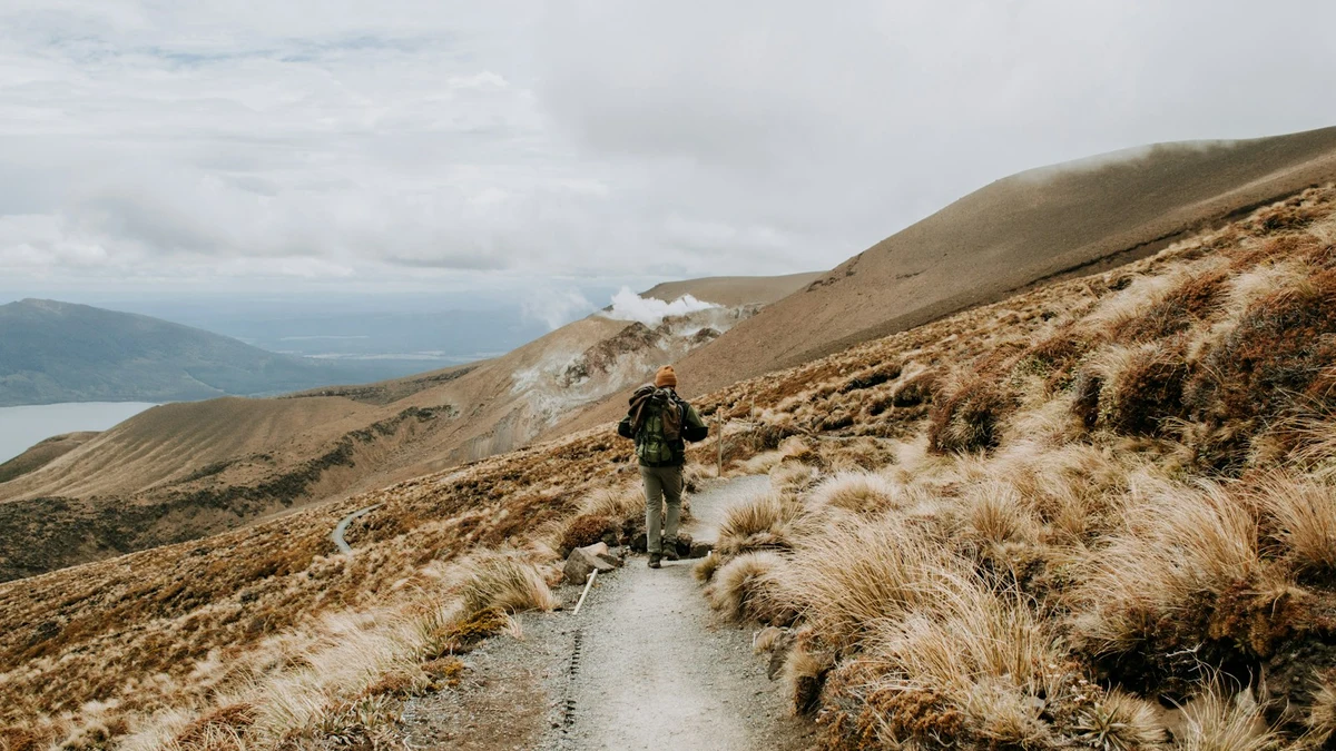 Hiker with a backpack walking away along a gravel track through golden tussock grass on a volcanic plateau in New Zealand
