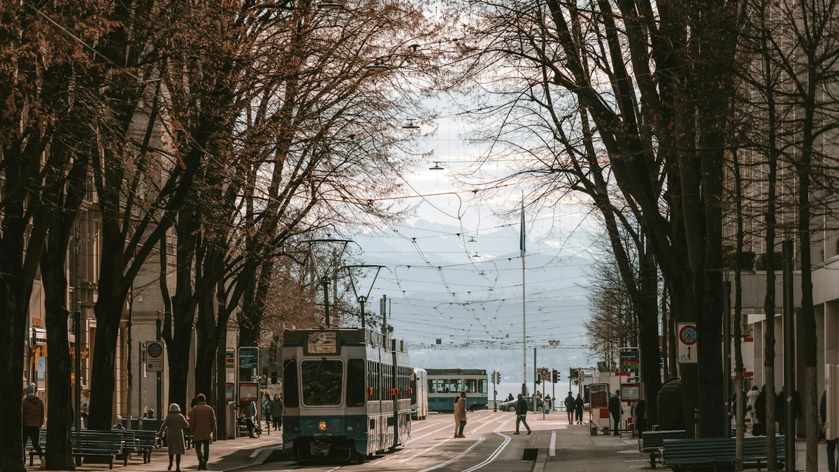 A tram on a tree-lined Swiss city avenue with the lake and mountains at the end of the street