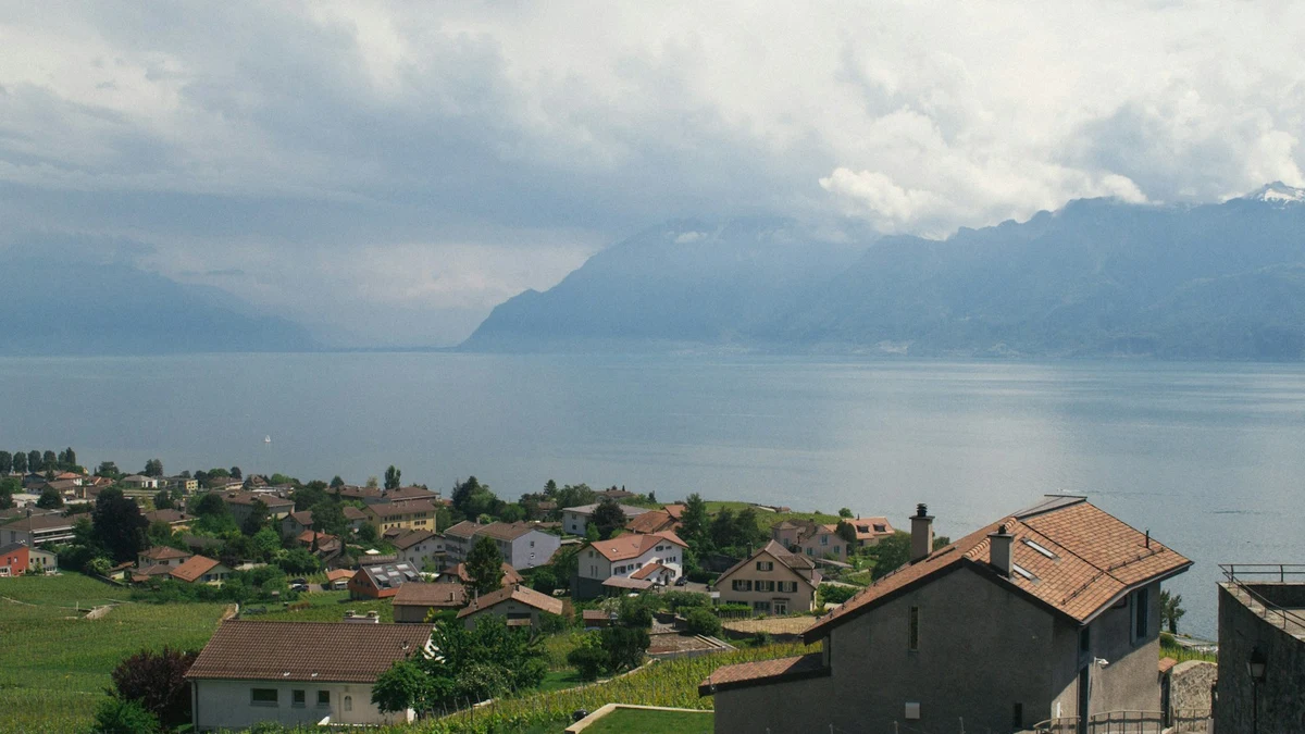 Vineyard terraces above a wide lake with the mountains of the opposite shore in the distance