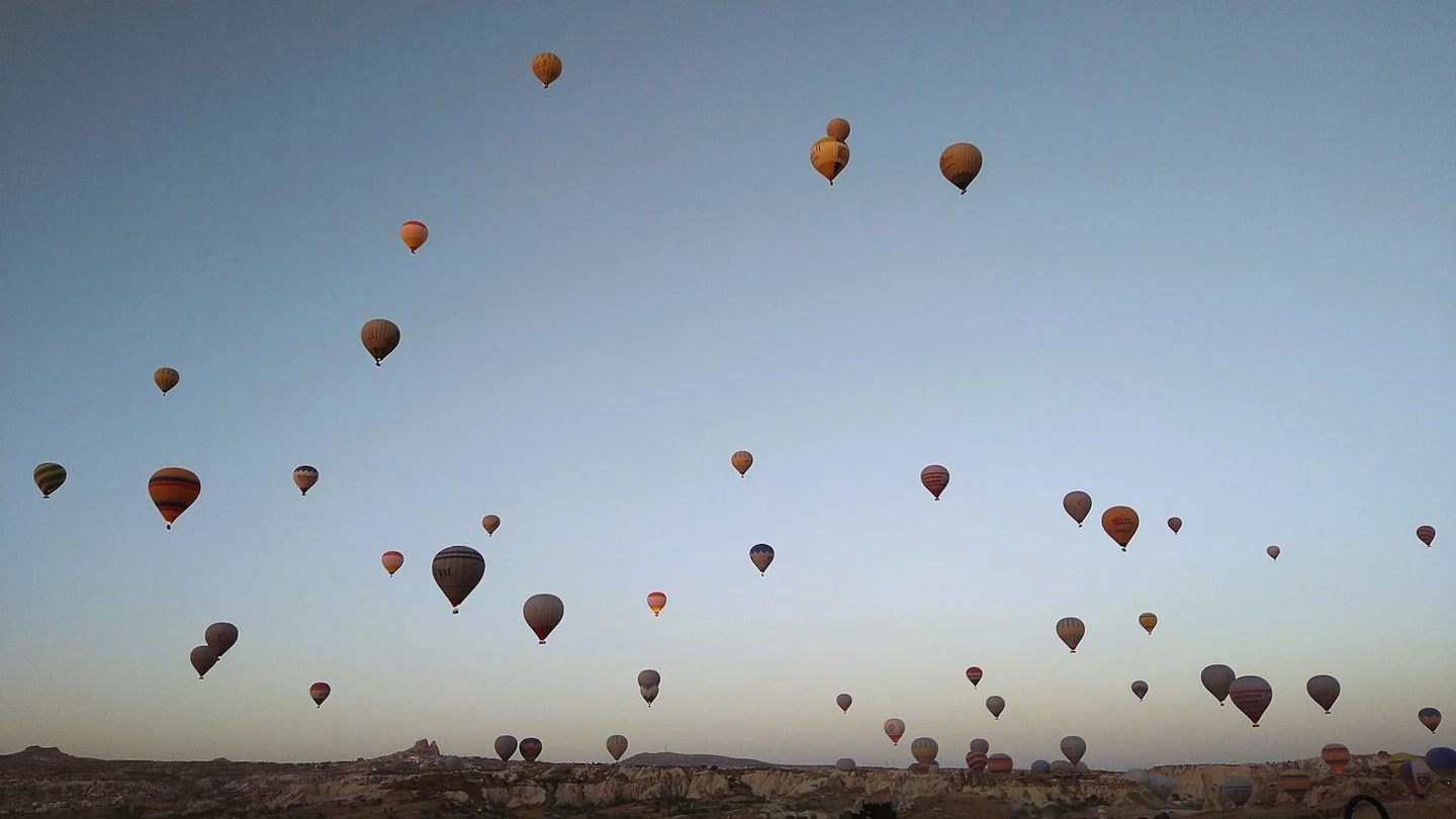 turkey